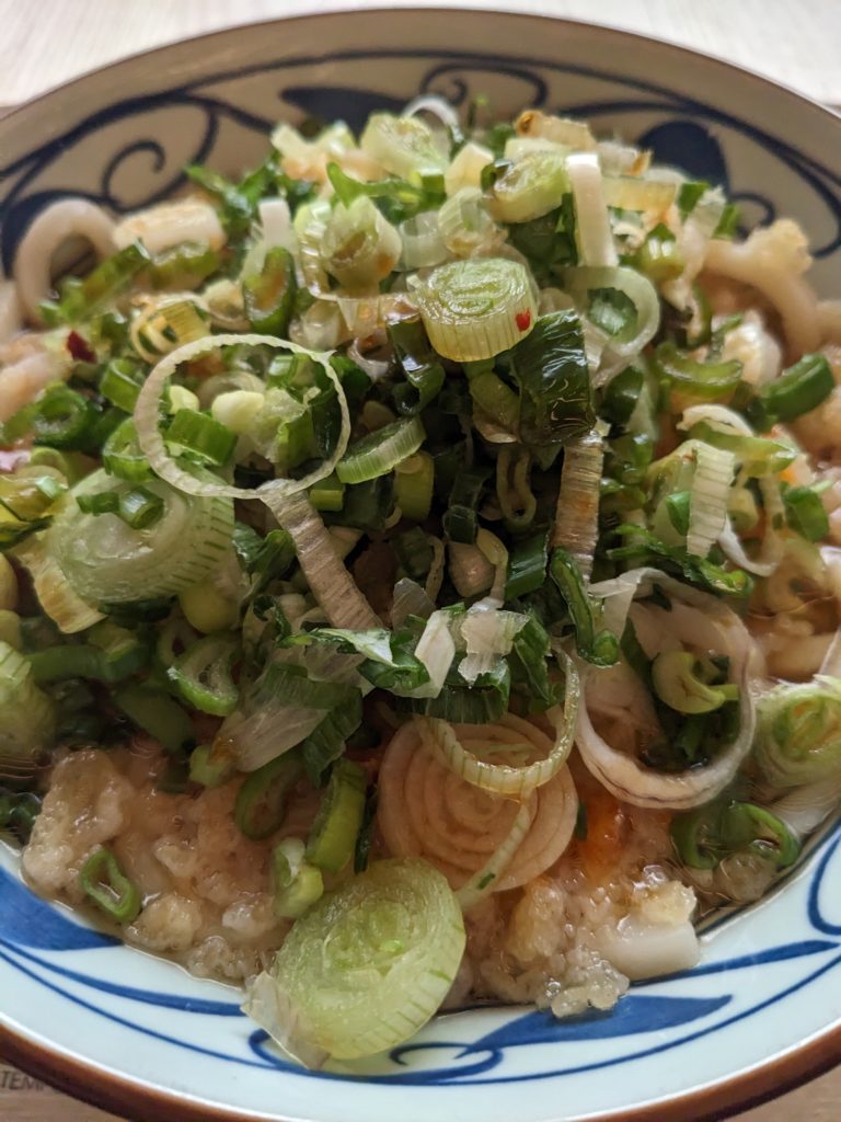 udon from Marugame